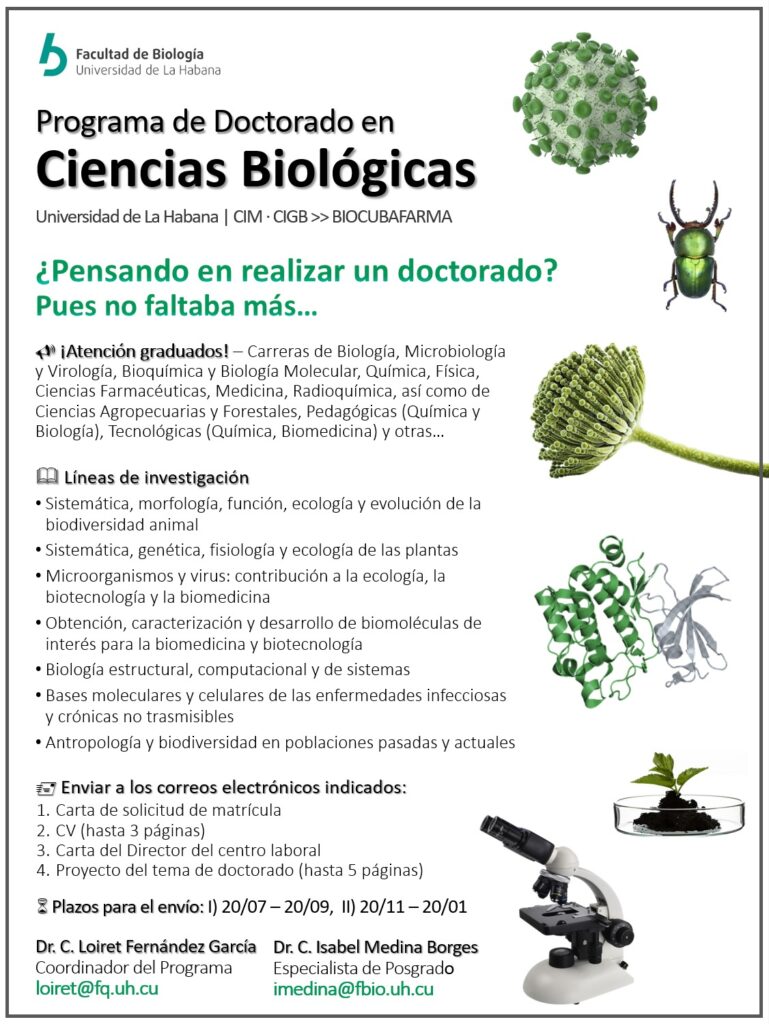 Convocatoria Doctorado